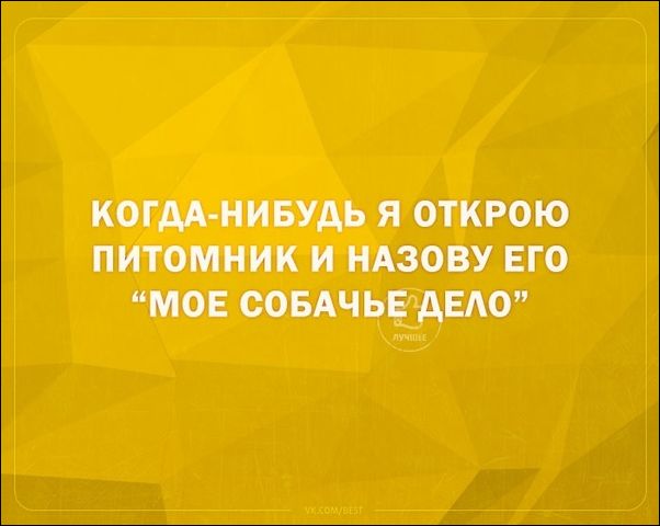 смешные аткрытки смешные аткрытки