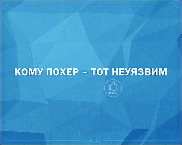 смешные аткрытки смешные аткрытки