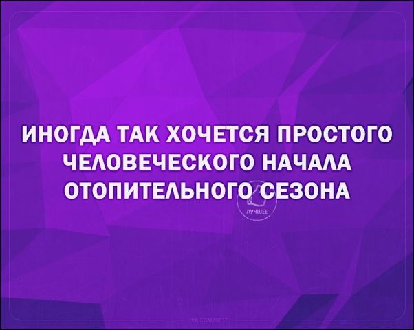 смешные аткрытки смешные аткрытки