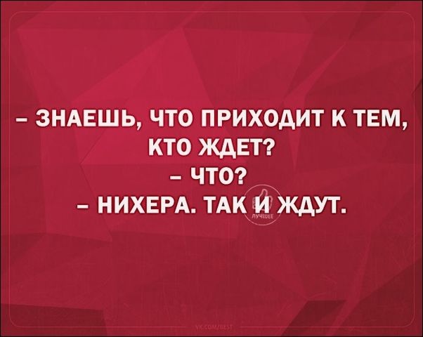 смешные аткрытки смешные аткрытки