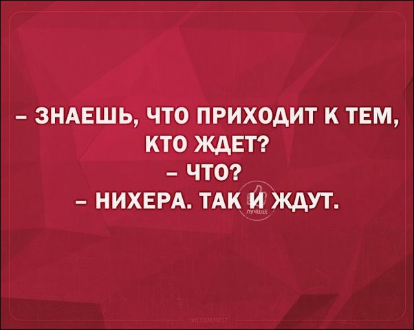 смешные аткрытки