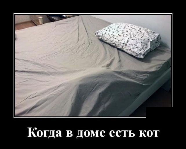 демотиватор