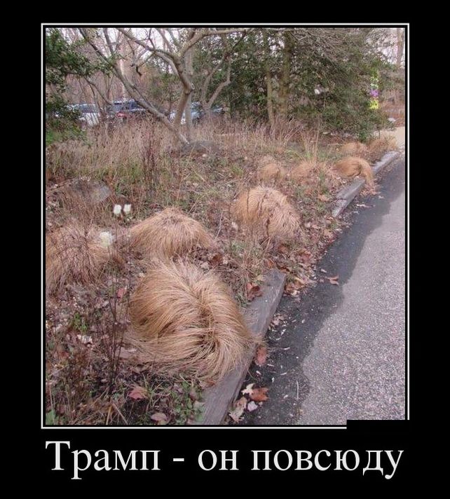 демотиваторы