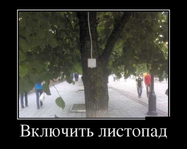 демотиваторы