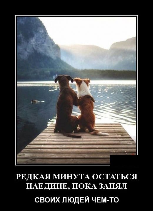 демотиваторы