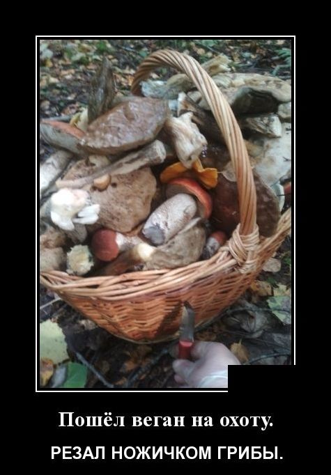 демотиватор