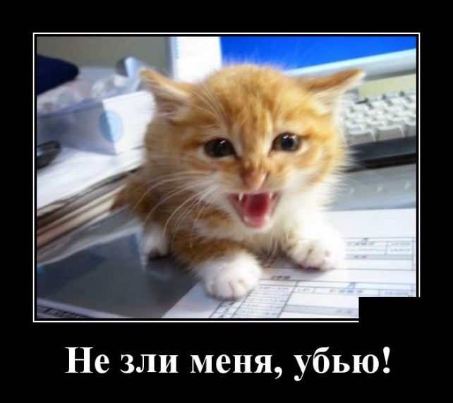 демотиватор