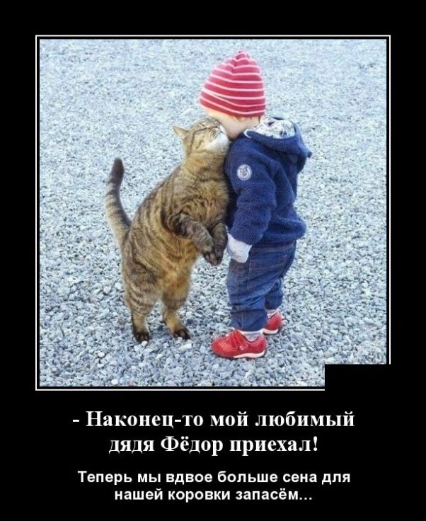 демотиватор