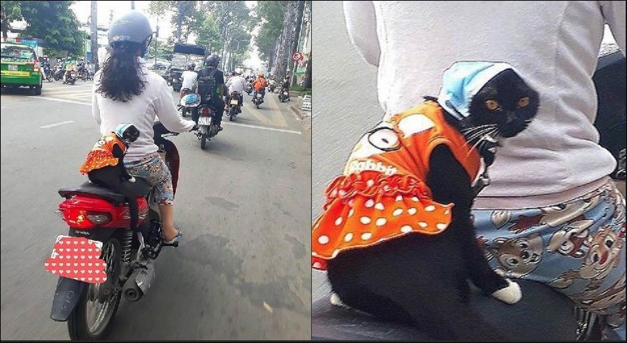 фотоприколы