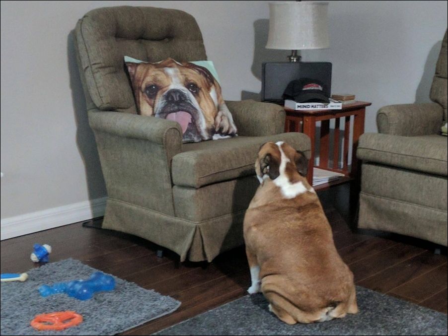 фотоприколы