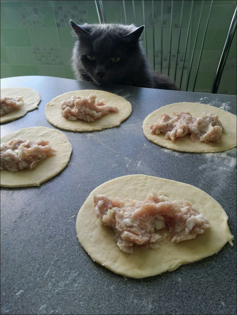 фотоприколы