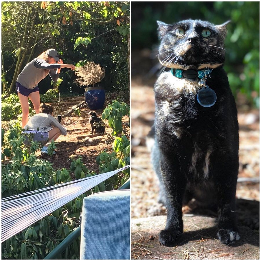 фотоприколы