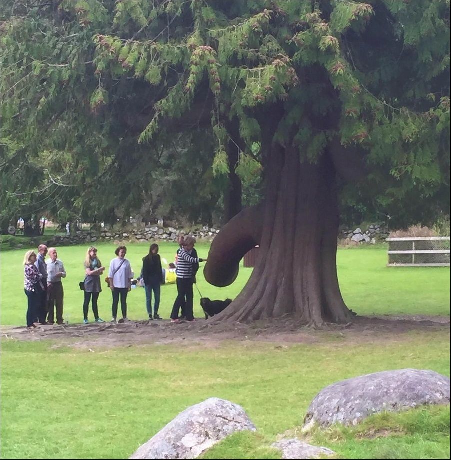 фотоприколы