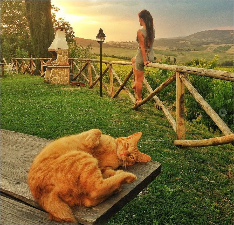 фотоприколы