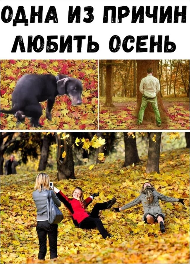 фотоприколы