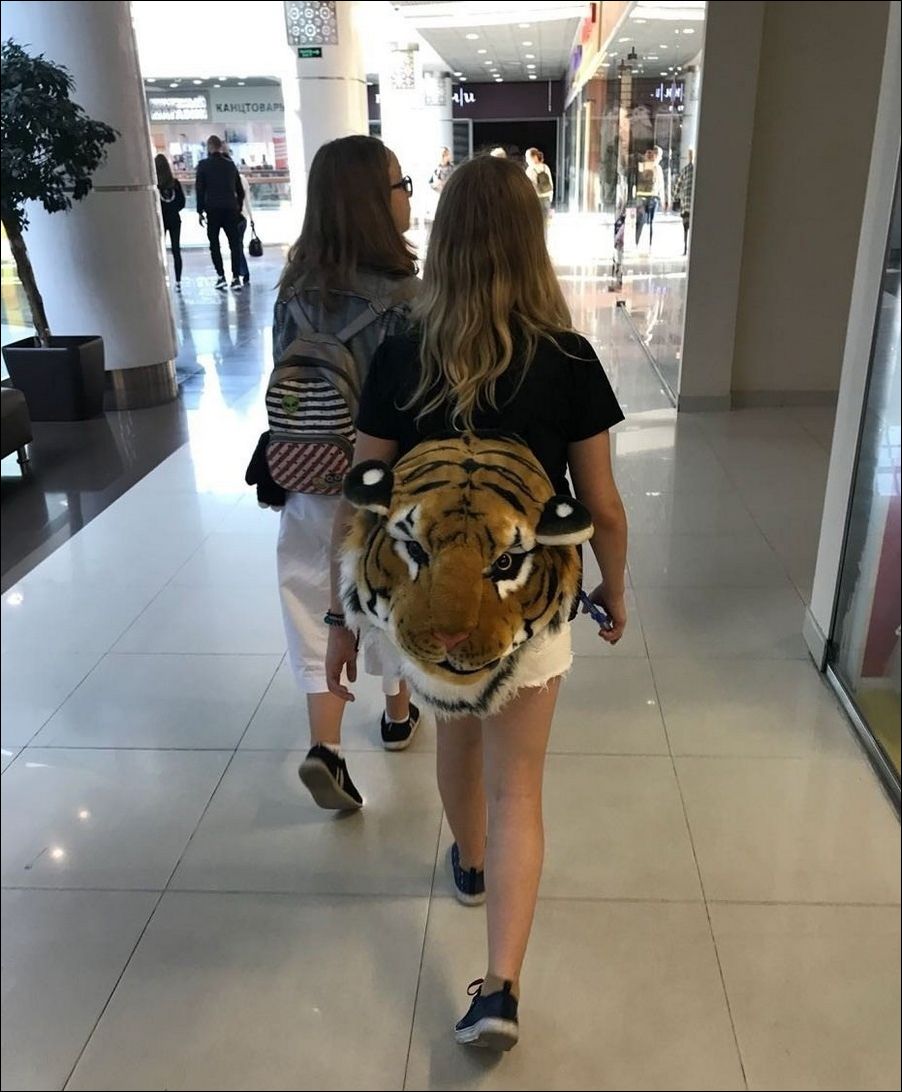 фото приколы