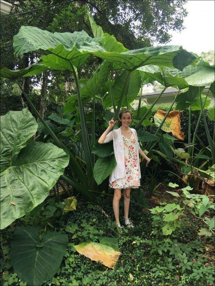 фото приколы