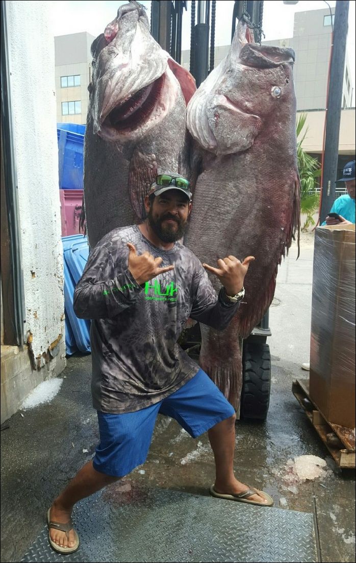 фото приколы