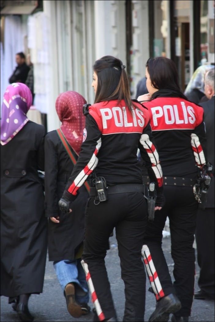 фото приколы