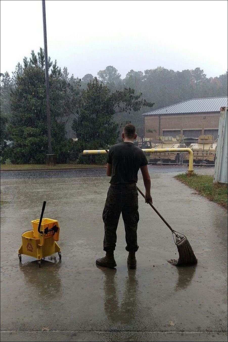 фото приколы