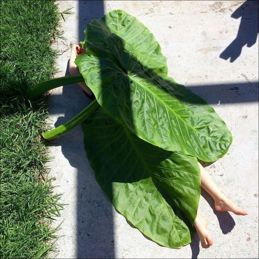 фото приколы