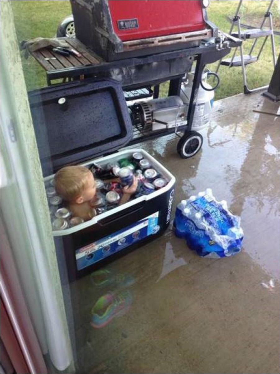 фото приколы