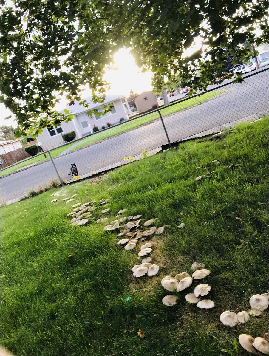 фото приколы