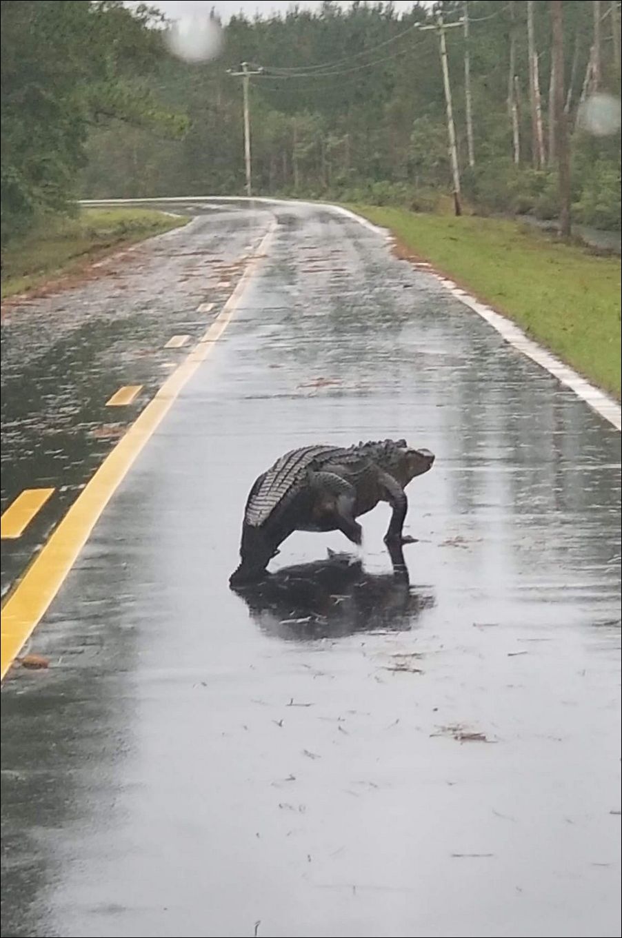 фото приколы