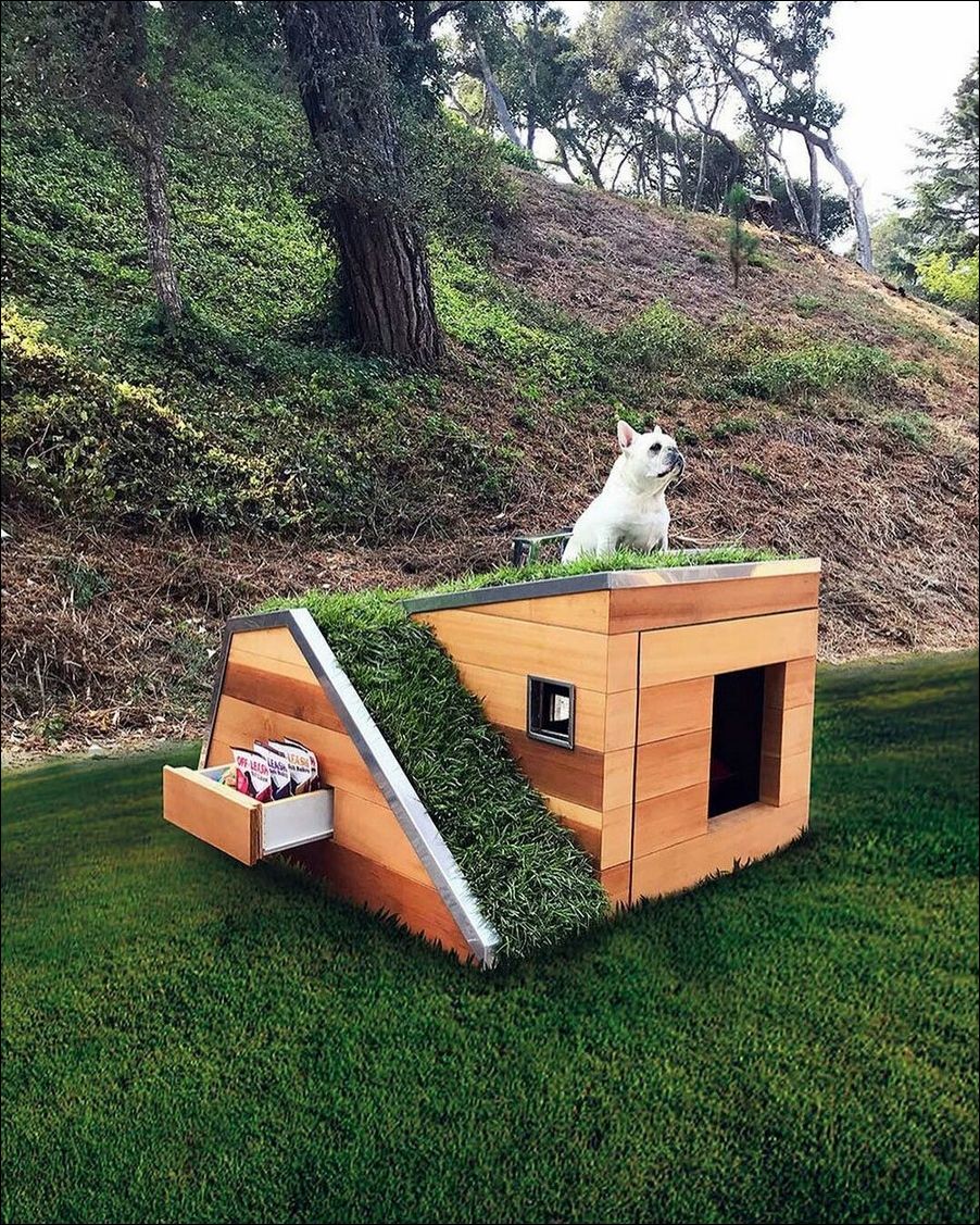 фото приколы