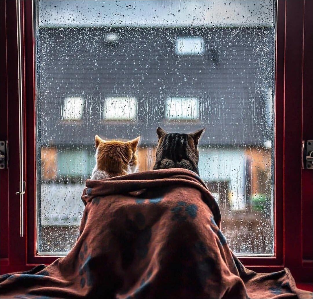 фото приколы