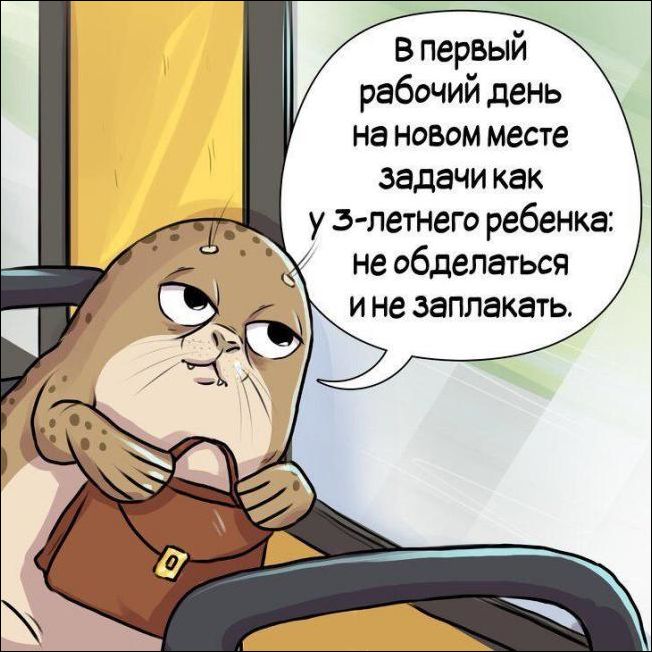 комиксы и карикатуры