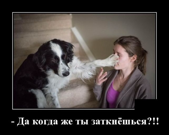 демотиватор