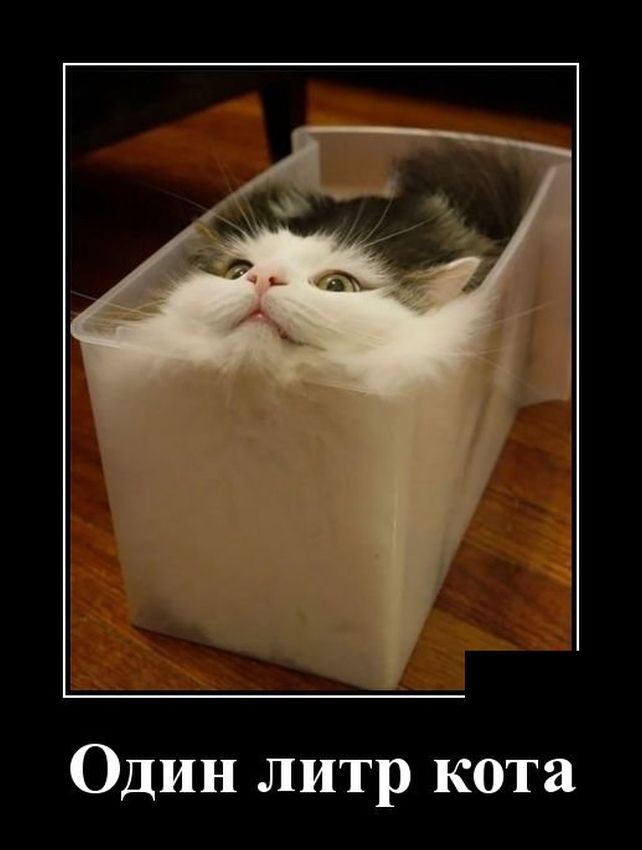 демотиватор