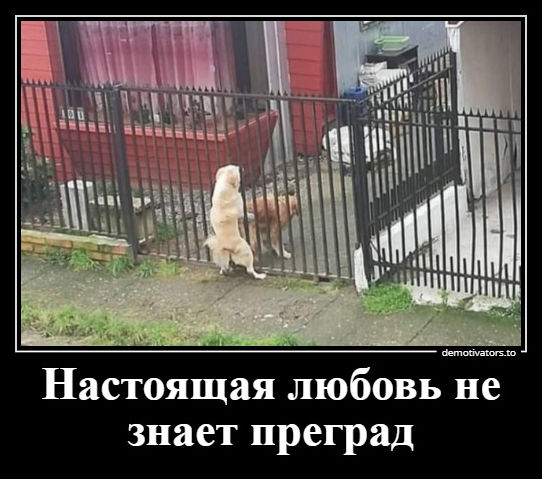 демотиватор