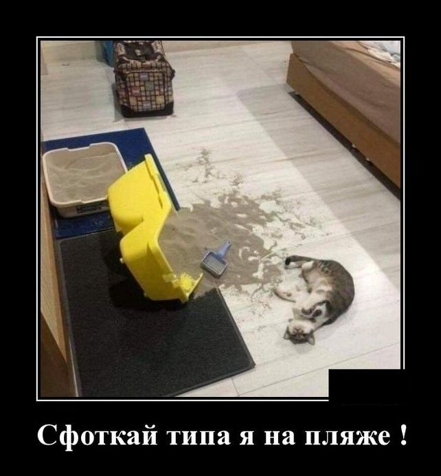 демотиватор