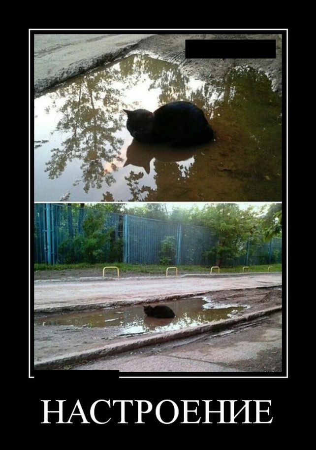 демотиватор