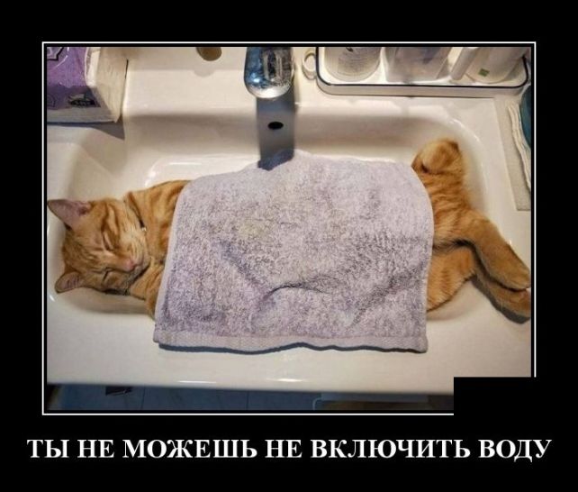 демотиватор