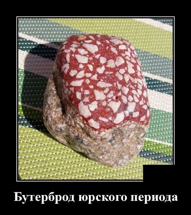 демотиватор