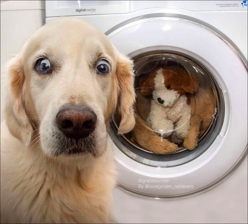 фото приколы