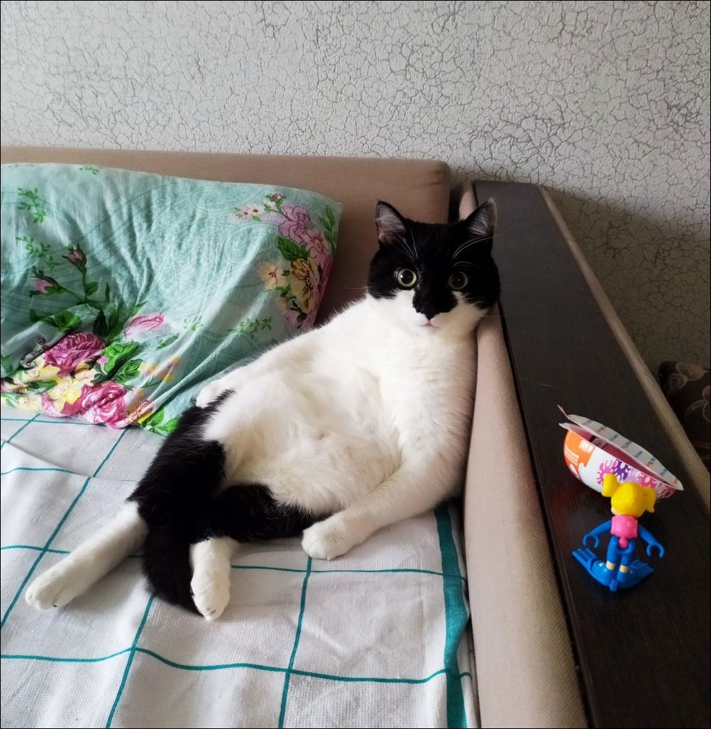 фото приколы