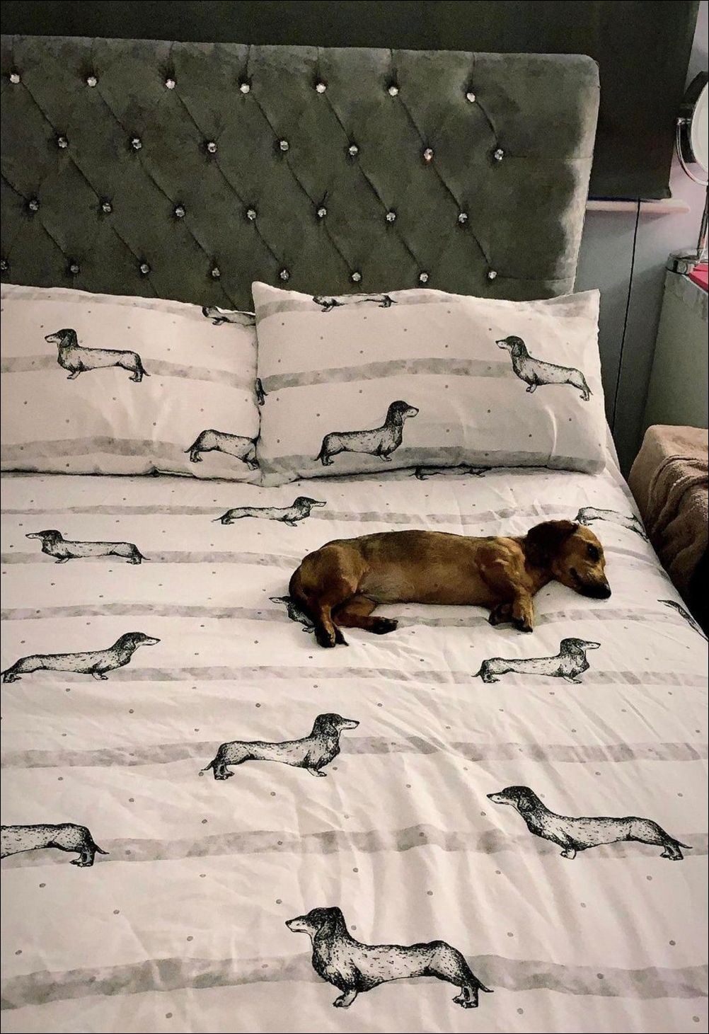 фото приколы