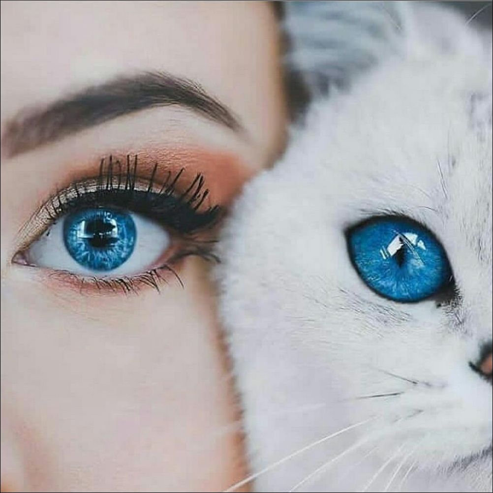 фото приколы