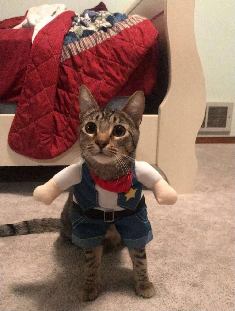 фото приколы