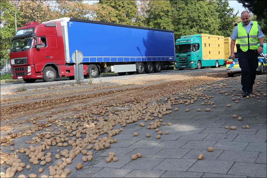 фото приколы