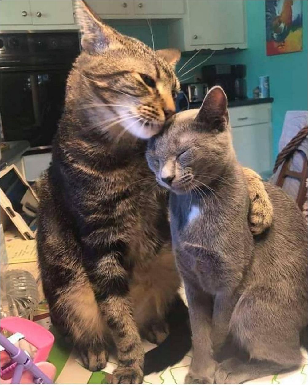 фото приколы