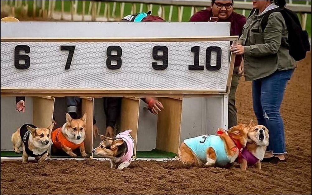 фото приколы