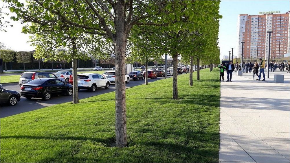 фото приколы