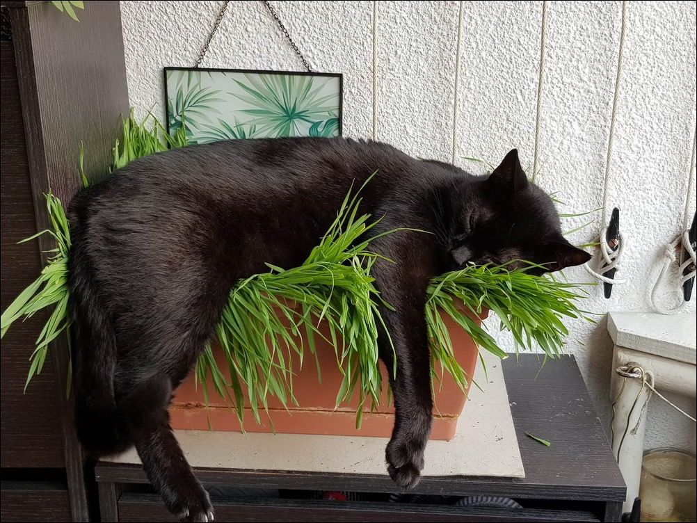 фото приколы