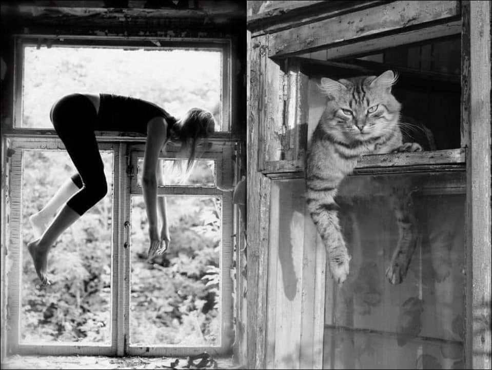 фото приколы