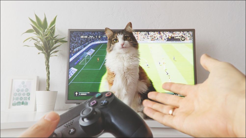 фото приколы